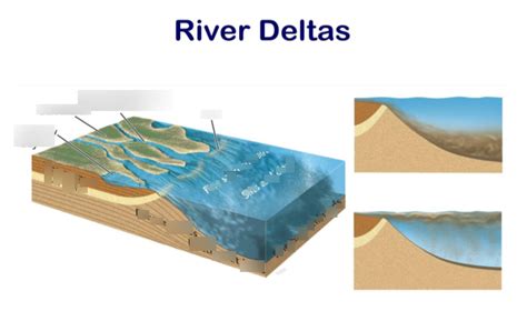 What Is A Delta Landform And How Does It Form Eschooltoday 52 Off