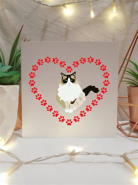 Ragdoll Cat Anniversary Card Cat Themed T Cute Cat Etsy