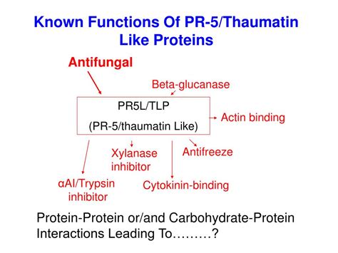 Ppt Arabidopsis Powerpoint Presentation Free Download Id 3372862