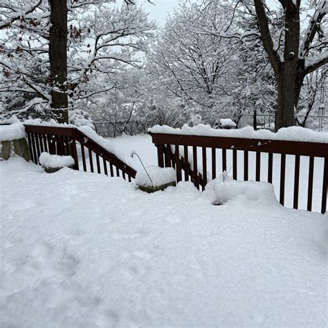 Snowfall Totals From New Jersey New York And Connecticut From The Winter Storm On Feb 17 2024