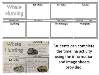 Whale Hunting Timeline Activity By Mrgrayhistory TPT