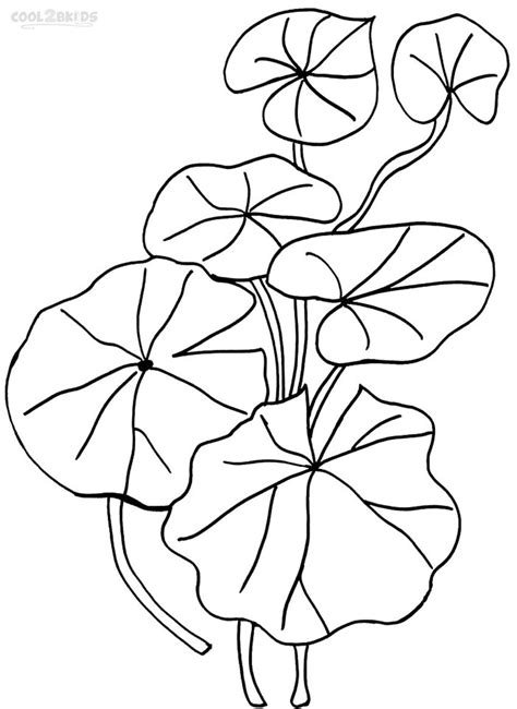 Lily Pad Coloring Page at GetDrawings | Free download