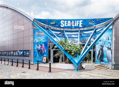 Sea Life Centre Uk Hi Res Stock Photography And Images Alamy