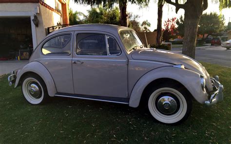 Survivor Or Restored Vw Beetle Barn Finds