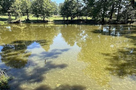 Koshkonong Oregon County Mo Undeveloped Land Lakefront Property