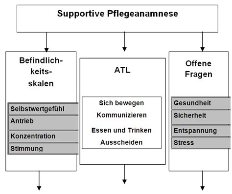 Abbildung 1 Pflegeanamnese Mit Befindlichkeitsskalen Und Offene Fragen