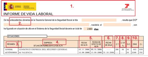 Cómo Solicitar El Informe De Vida Laboral Guía 2024 🥇