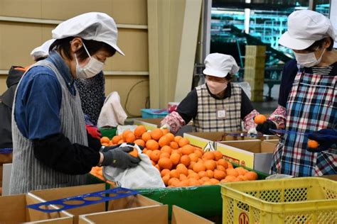 初夏の味覚をお届け南津海みかん Jaみなみ筑後