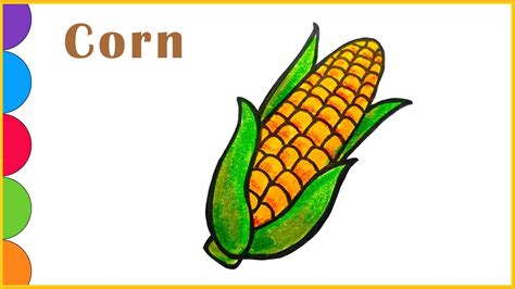 Corn Drawing Ll Corn Drawing Easy Ll Vegetable Drawing Ll How To Draw