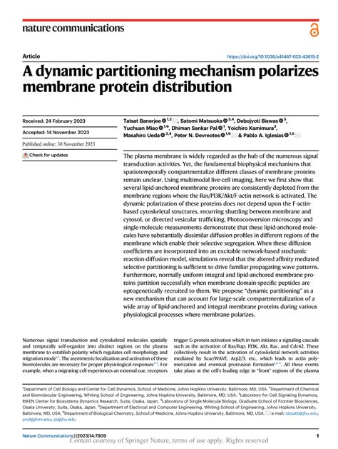 PDF A Dynamic Partitioning Mechanism Polarizes Membrane Protein