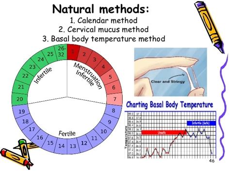 Contraception The American Pregnancy Association