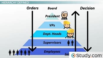 Hierarchical Organization | Structure, Examples & Chart - Lesson ...