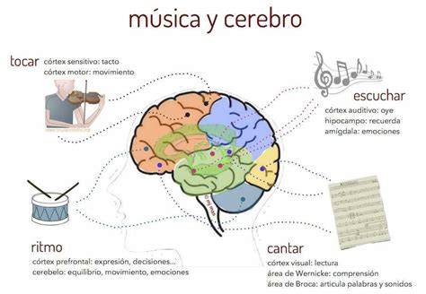 La M Sica Una Necesidad Cerebral Mind Map