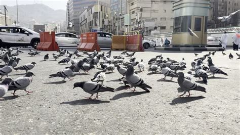 Towers And Hotels Overlooking Mecca Time Frames Of The Movement Of