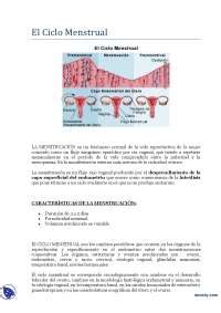 El Ciclo Menstrual Apuntes Ginecolog A Apuntes De Ginecolog A