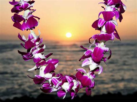 Hawaii Flower Lei - A Circle of Aloha and the Iconic Symbol of Hawaii ...