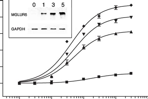 Concentration Response Curves Mean ± Sem N 3 For The Effect Of