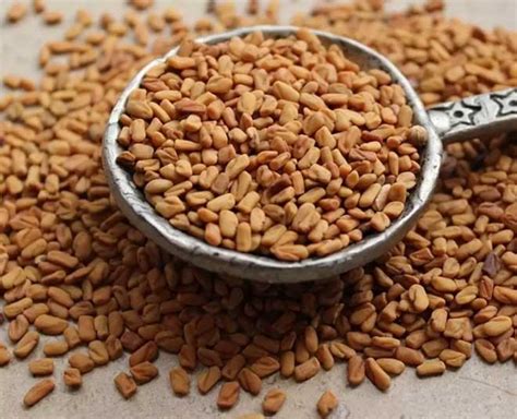 Fenugreek Seeds Water Benefits How To Make It At Home HerZindagi