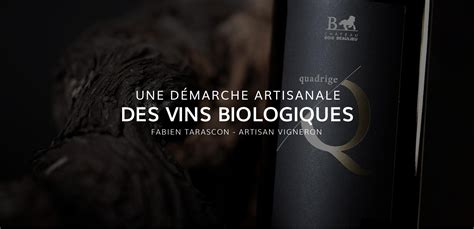 Domaine Viticole Dans Le Sud Ouest V Bois Beaulieu