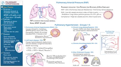 Clinical Medicine Pulmonary Hypertension Ditki Medical And Biological