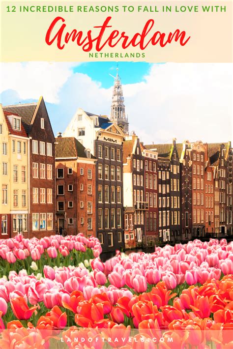 Visiting Amsterdam 12 Reasons To Fall In Love With This European Gem