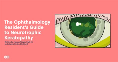 The Ophthalmology Resident S Guide To Diagnosing And Managing Neurotrophic Keratopathy