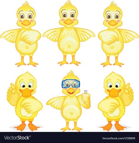 Six ducklings Royalty Free Vector Image - VectorStock