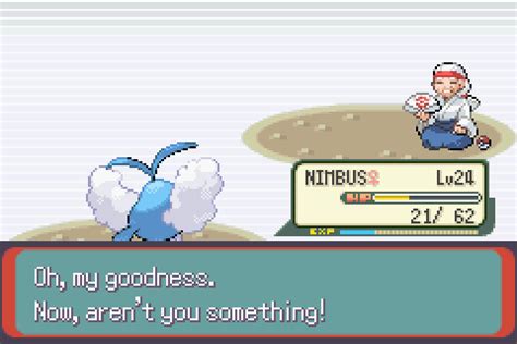 Pokemon Emerald Part 12 Hot Battles With Desert