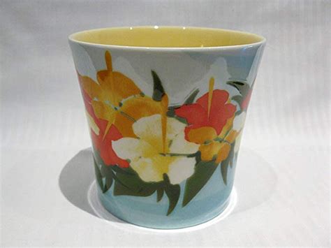 Starbucks Hawaii Coffee Mug Hibiscus Flower 14 Oz Kitchen