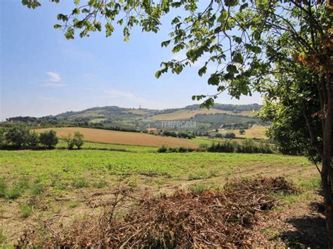 Terreno Agricolo Via Del Carmine Ancona Rif Immobiliare It