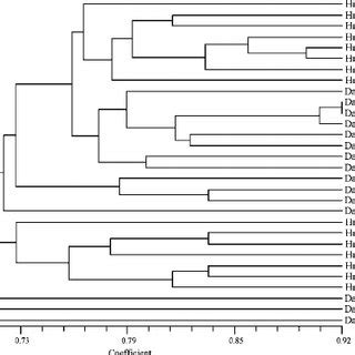 Dendrogram Illustrating Genetic Relationships Among 30 Populations Of