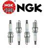 For Vw Audi L Turbo Genuine Bosch Spark Plugs Set T New Double