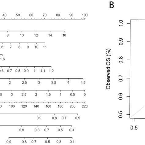 Nomogram For Predicting The 3 Year Survival Probability Of Patients