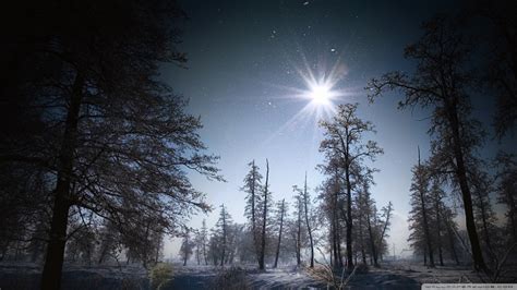 Fondos De Pantalla Luz De Sol Bosque Noche Naturaleza Cielo Nieve Invierno Mañana Sol