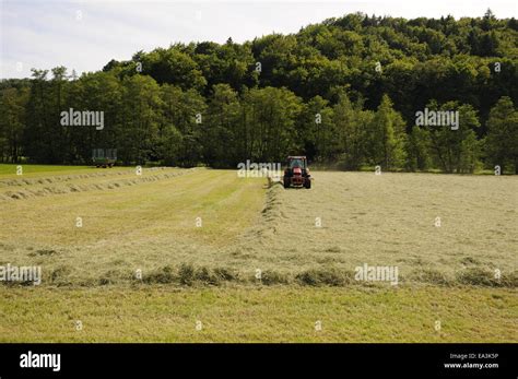 Blumenwiese Mahen Hi Res Stock Photography And Images Alamy