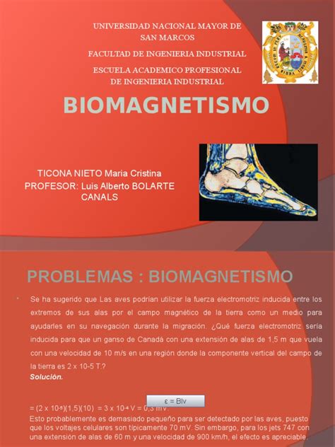 Pdf Biomagnetismo Pptx Dokumen Tips