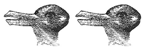 Duck Duck Rabbit How We See What We See Faculty Of Science