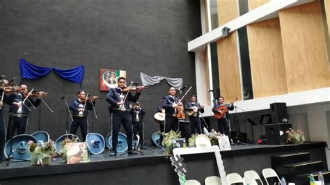 Popurrí de Sones Mariachi Oro de América de Don Celestino Sánchez YouTube