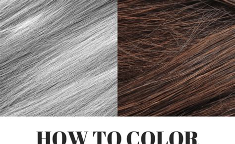 Image Result For Gray Hair Color Chart Hair Color Chart Grey Hair Color ...