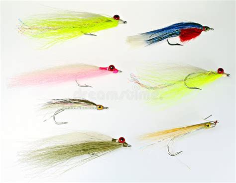 The Adams And Royal Wulff Dry Flies Stock Photo Image Of Fishing