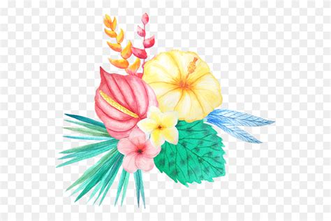 Tropical Watercolor Watercolor Tropical Flowers Clipart Graphics