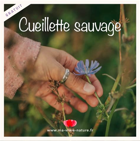 Cueillette calendrier et règles d or Sophie Castro Ma Vraie Nature