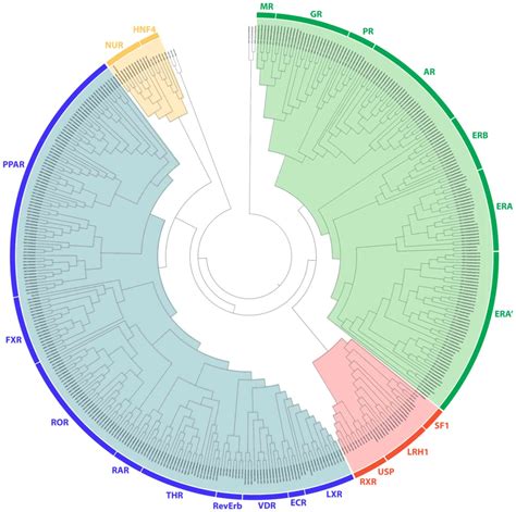 A Comprehensive Structural And Functional Analysis Of The Ligand