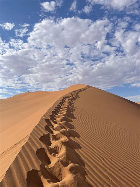 Morning Dune Walk Sussusvlei Namib Desert Namibia Oc 3024x4032 Rearthporn