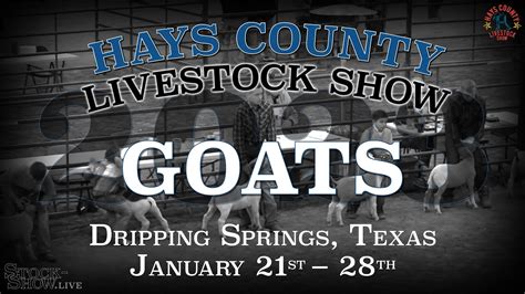 2023 Goat Show Hays County Youth Livestock Show YouTube