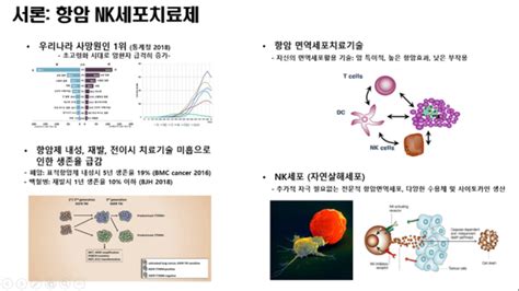 암세포 잡는 ‘nk 세포치료제 개발 어디까지 왔나