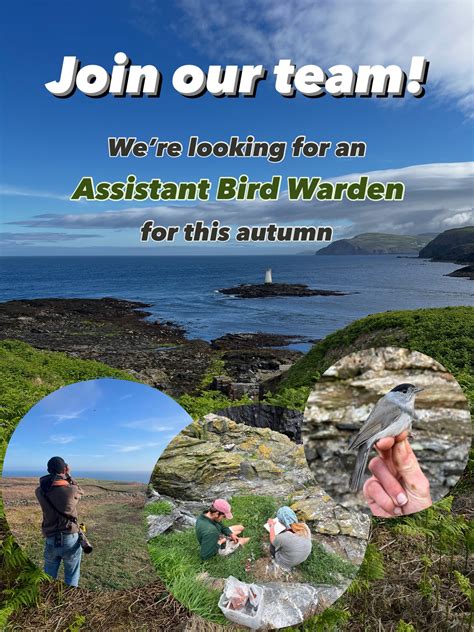 Copeland Bird Observatory - Philip Galbraith took this picture on the