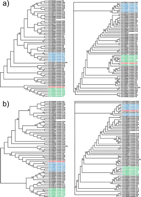 Neighbor Joining And Bayesian Inference Consensus Trees 1 000