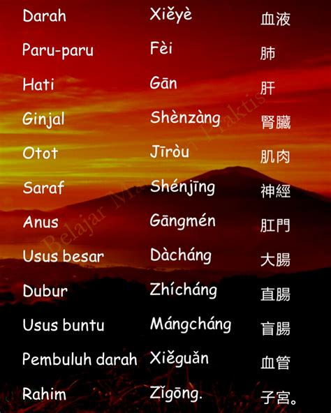 Kosakata Bagian Tubuh Dalam Bahasa Mandarin Part 1 BELAJAR MANDARIN