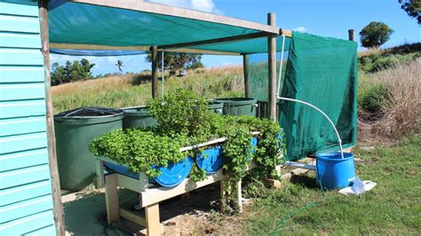 What Is Aquaponic Gardening And How Do You Get Started